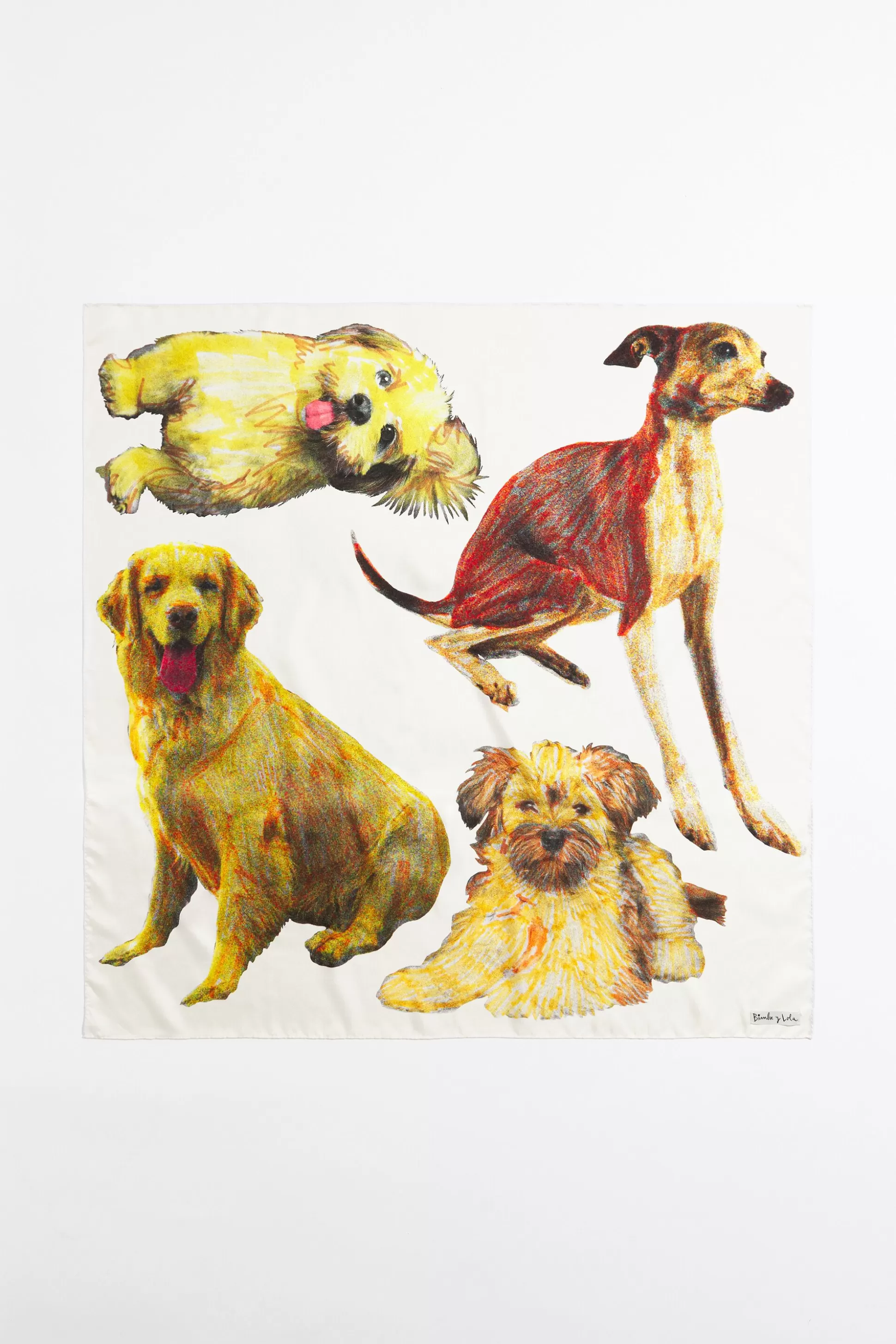 Dog silk scarf | Bimba Y Lola Shop