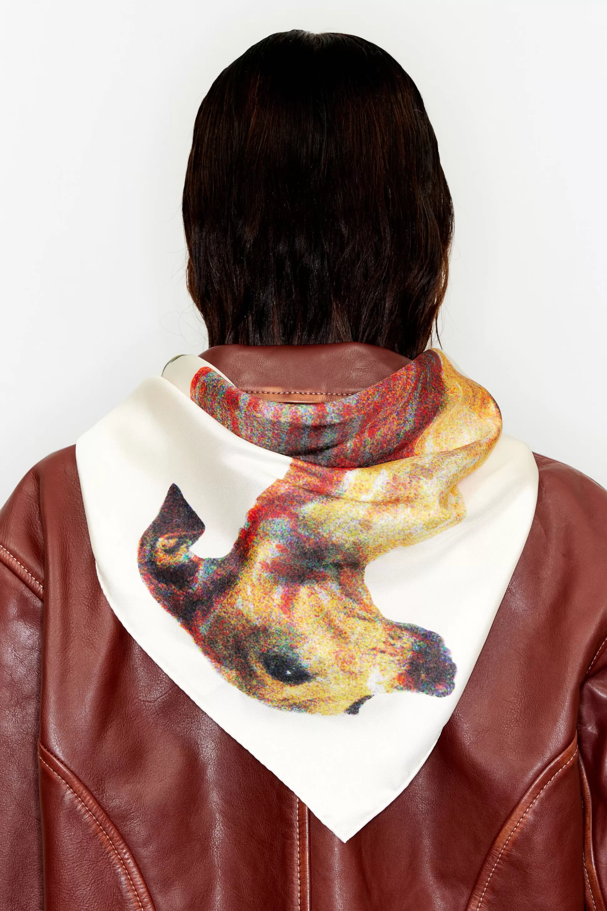 Dog silk scarf | Bimba Y Lola Shop