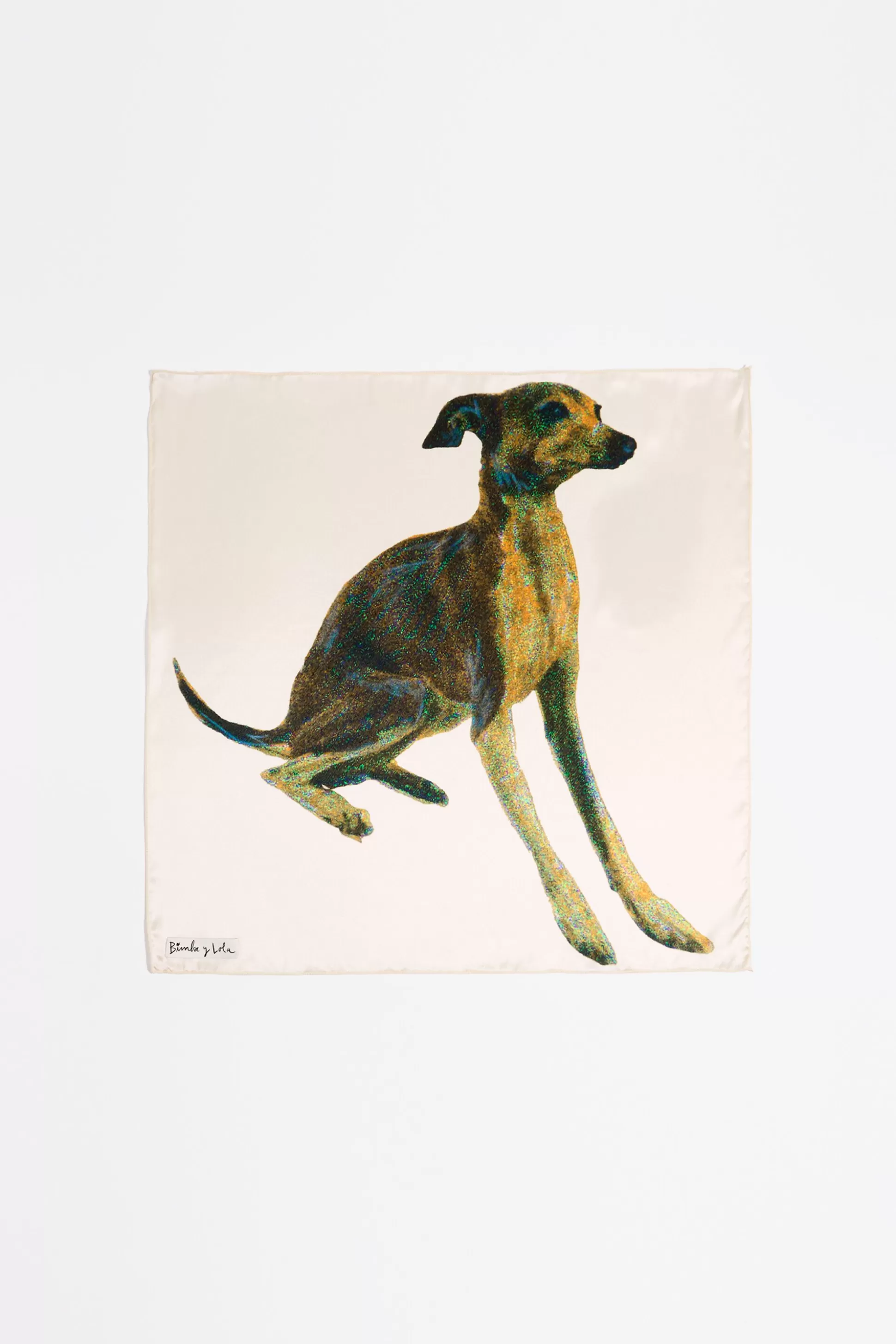 Greyhound silk scarf | Bimba Y Lola Outlet