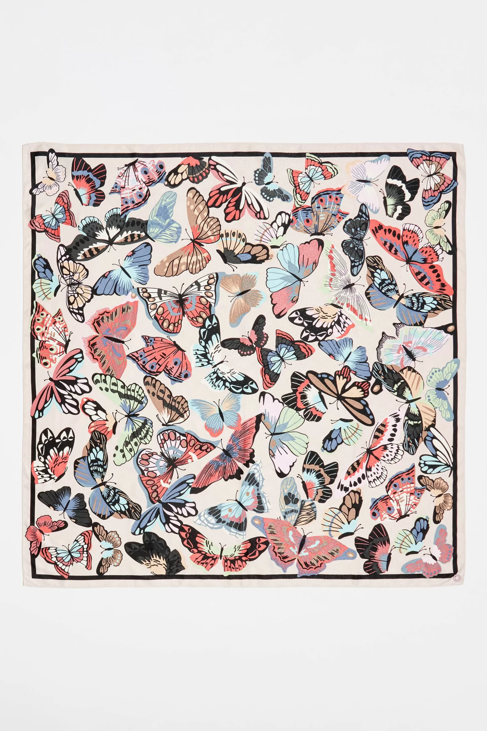 White butterfly scarf | Bimba Y Lola New